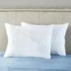 Essential 2-Pk. Extra Support Bed Pillows