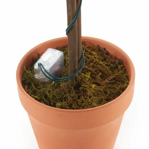 Lighted Faux Boxwood Topiaries Or Wreath - Image 11