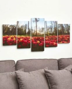 5-Pc. Canvas Wall Art Sets