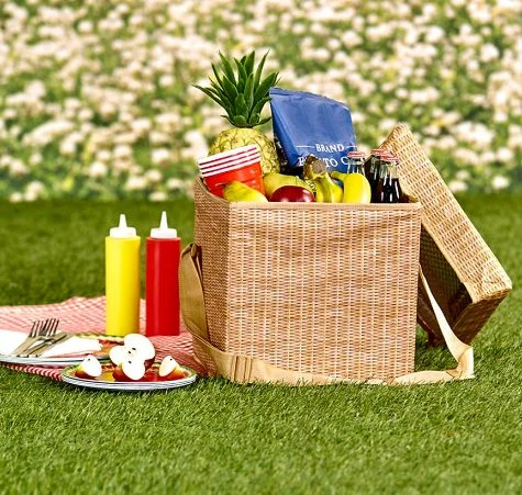 Wicker Picnic Cooler Seat