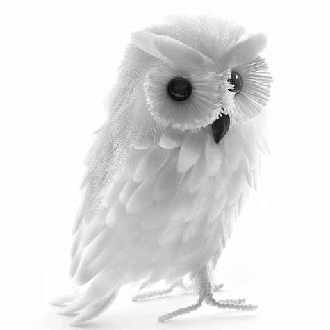 Winter Woodland Collection - Image 3