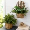 Artificial Fern Plants