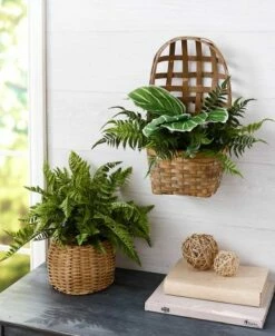 Artificial Fern Plants