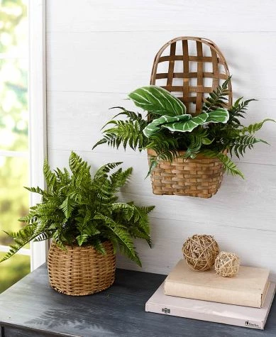 Artificial Fern Plants