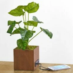 Artificial House Plant With USB Port