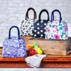 Large Capacity Insulated Lunch Totes