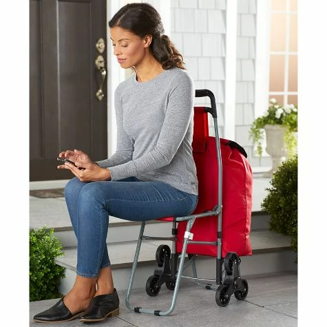 6-Wheel Shopping Cart With Seat - Image 2